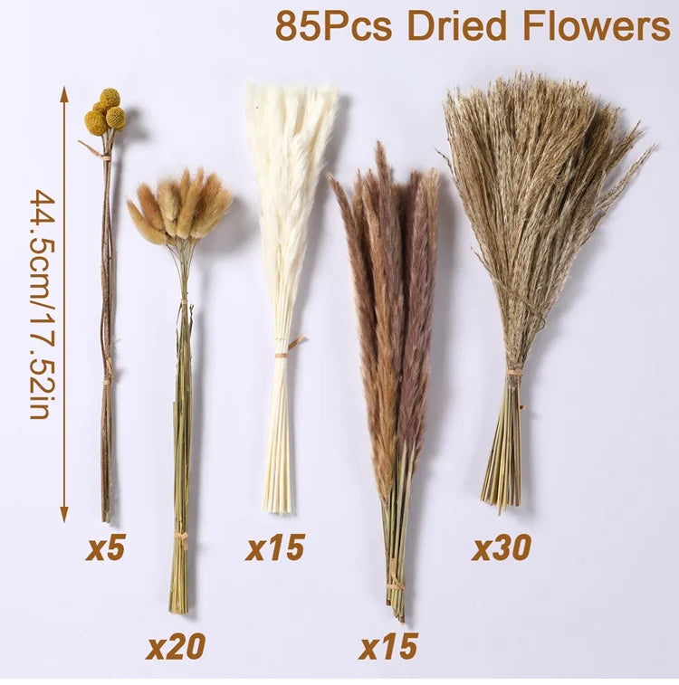 Sd387c254d8a1461ca7337bd05b550301L